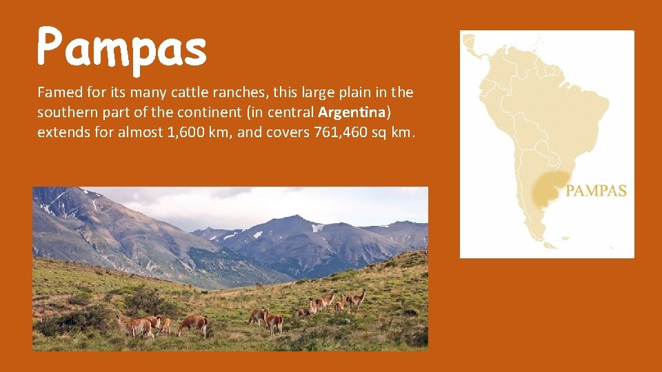 Pampas Famed for its many cattle ranches, this large plain in the southern part Pampas Famed for its many cattle ranches, this large plain in the southern part