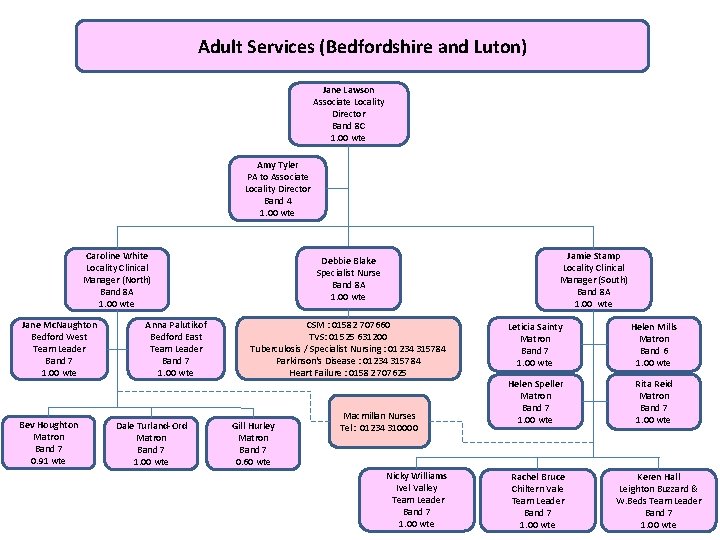 Adult Services (Bedfordshire and Luton) Jane Lawson Associate Locality Director Band 8 C 1.