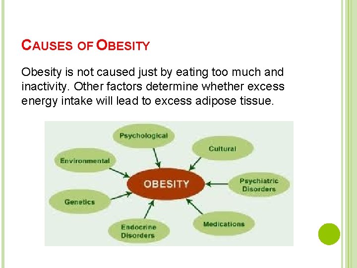 CAUSES OF OBESITY Obesity is not caused just by eating too much and inactivity.