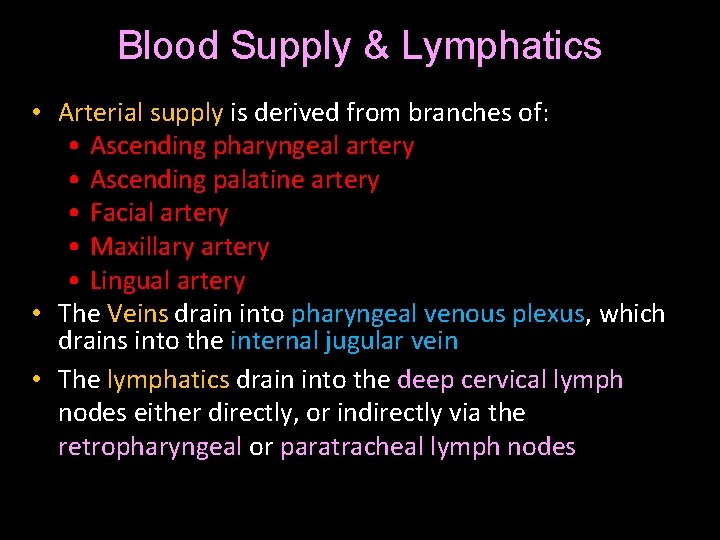Blood Supply & Lymphatics • Arterial supply is derived from branches of: • Ascending