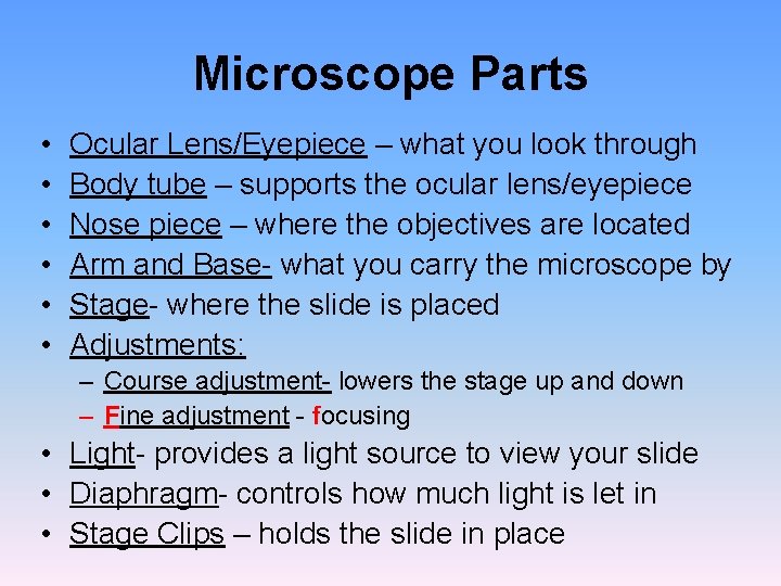 Microscope Parts • • • Ocular Lens/Eyepiece – what you look through Body tube Microscope Parts • • • Ocular Lens/Eyepiece – what you look through Body tube