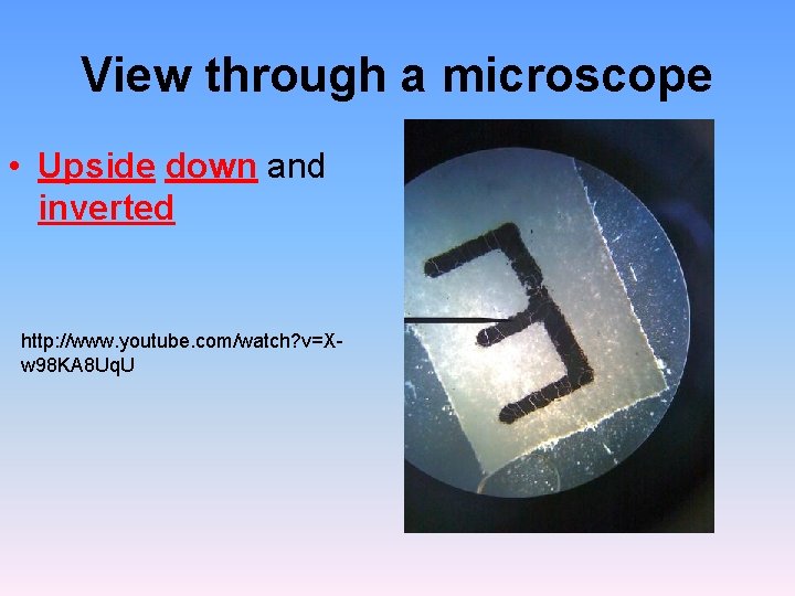 View through a microscope • Upside down and inverted http: //www. youtube. com/watch? v=Xw View through a microscope • Upside down and inverted http: //www. youtube. com/watch? v=Xw