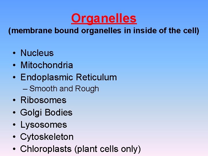 Organelles (membrane bound organelles in inside of the cell) • Nucleus • Mitochondria • Organelles (membrane bound organelles in inside of the cell) • Nucleus • Mitochondria •