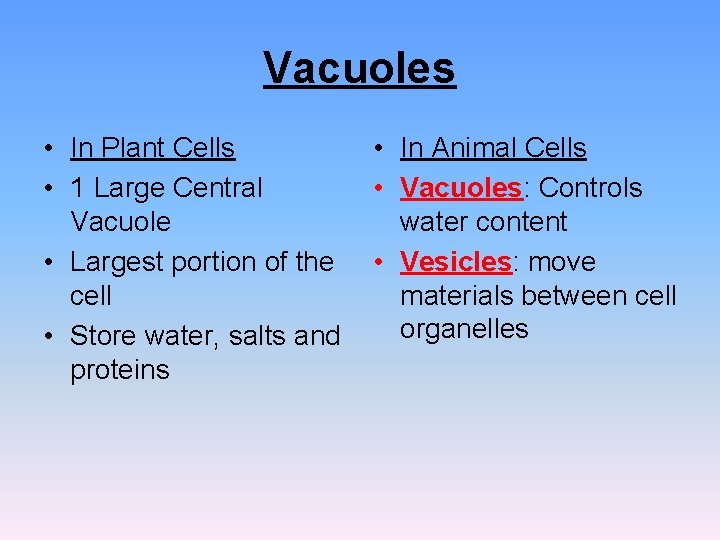 Vacuoles • In Plant Cells • 1 Large Central Vacuole • Largest portion of Vacuoles • In Plant Cells • 1 Large Central Vacuole • Largest portion of