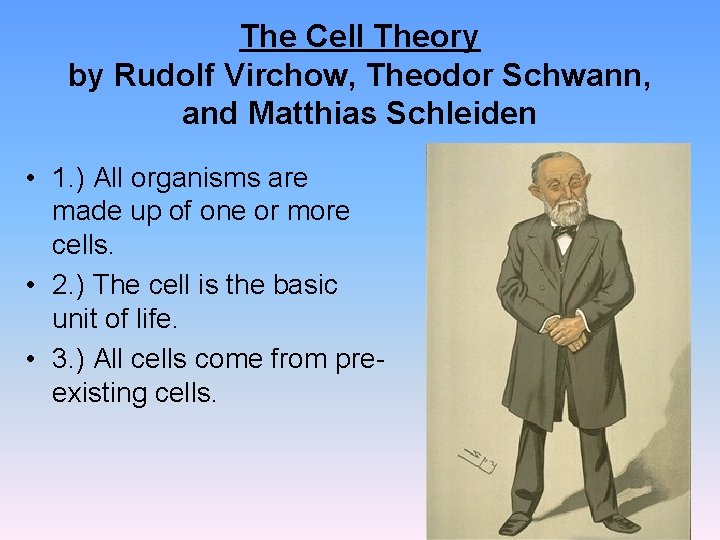 The Cell Theory by Rudolf Virchow, Theodor Schwann, and Matthias Schleiden • 1. ) The Cell Theory by Rudolf Virchow, Theodor Schwann, and Matthias Schleiden • 1. )