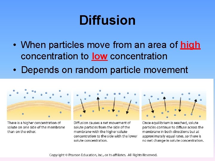 Diffusion • When particles move from an area of high concentration to low concentration Diffusion • When particles move from an area of high concentration to low concentration
