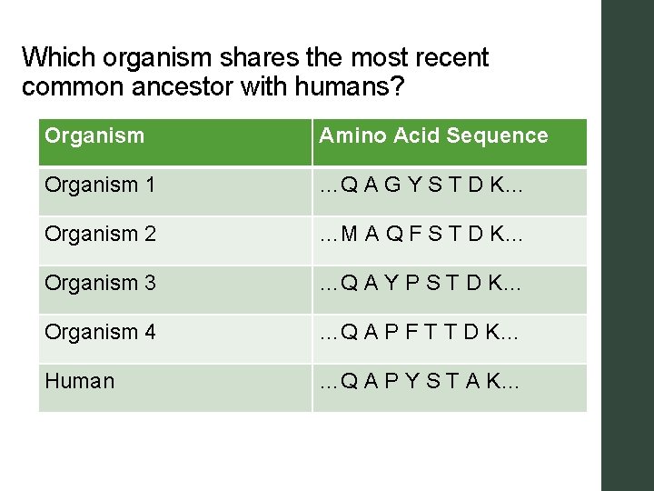 Which organism shares the most recent common ancestor with humans? Organism Amino Acid Sequence