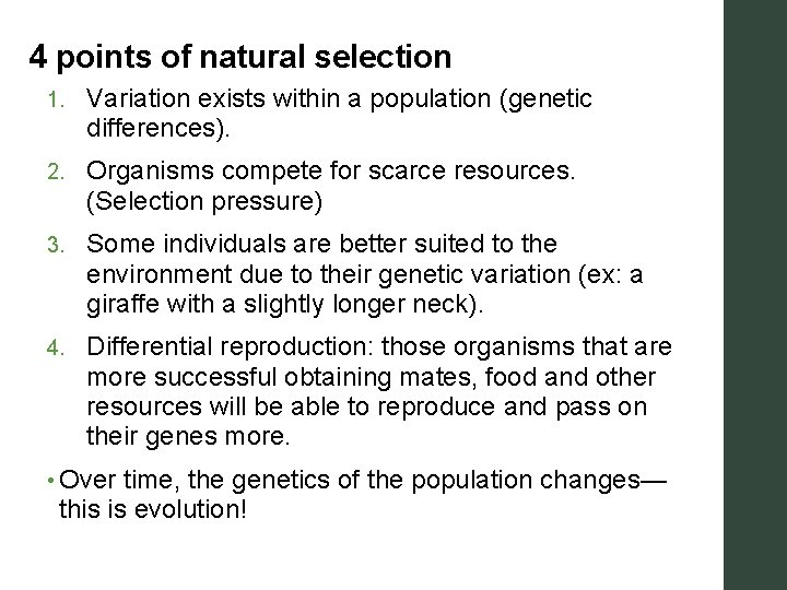4 points of natural selection 1. Variation exists within a population (genetic differences). 2.