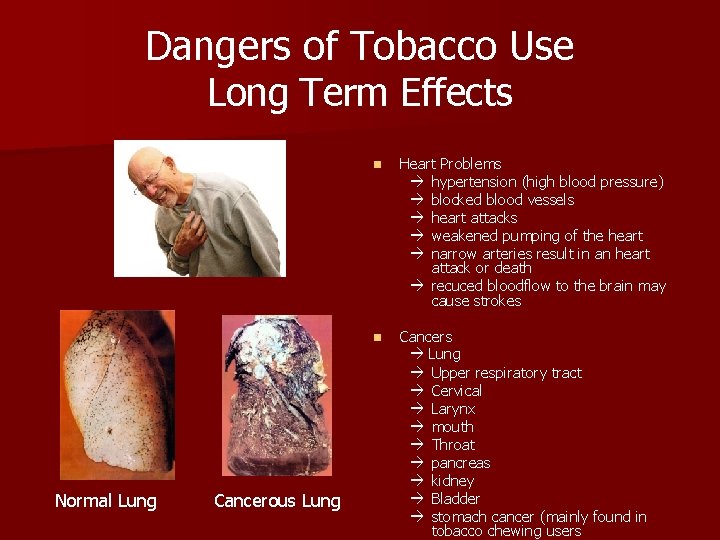 Dangers of Tobacco Use Long Term Effects Normal Lung Cancerous Lung n Heart Problems