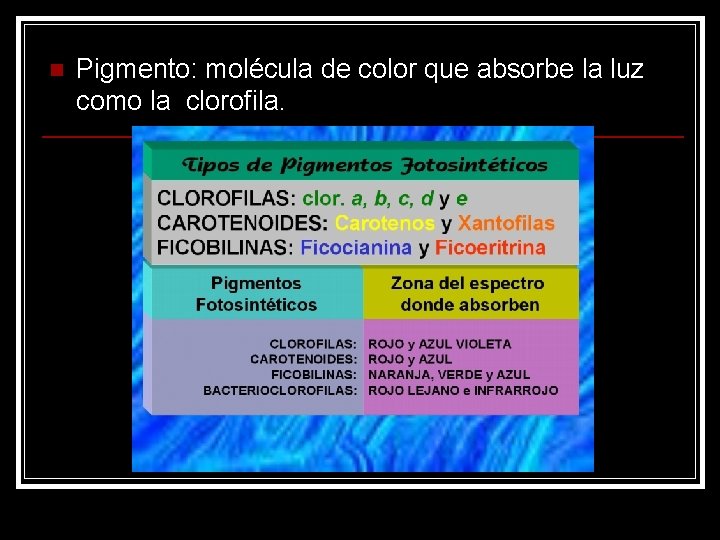 n Pigmento: molécula de color que absorbe la luz como la clorofila. 