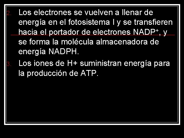 2. 3. Los electrones se vuelven a llenar de energía en el fotosistema I