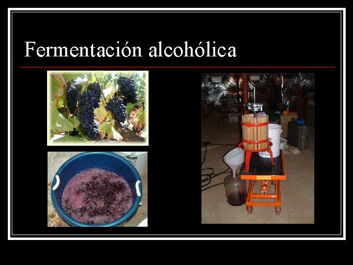 Fermentación alcohólica 