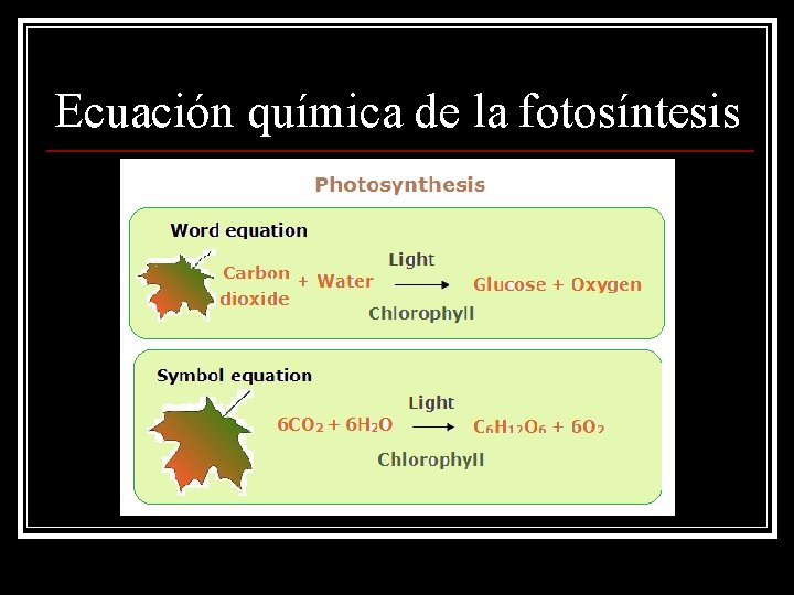 Ecuación química de la fotosíntesis 