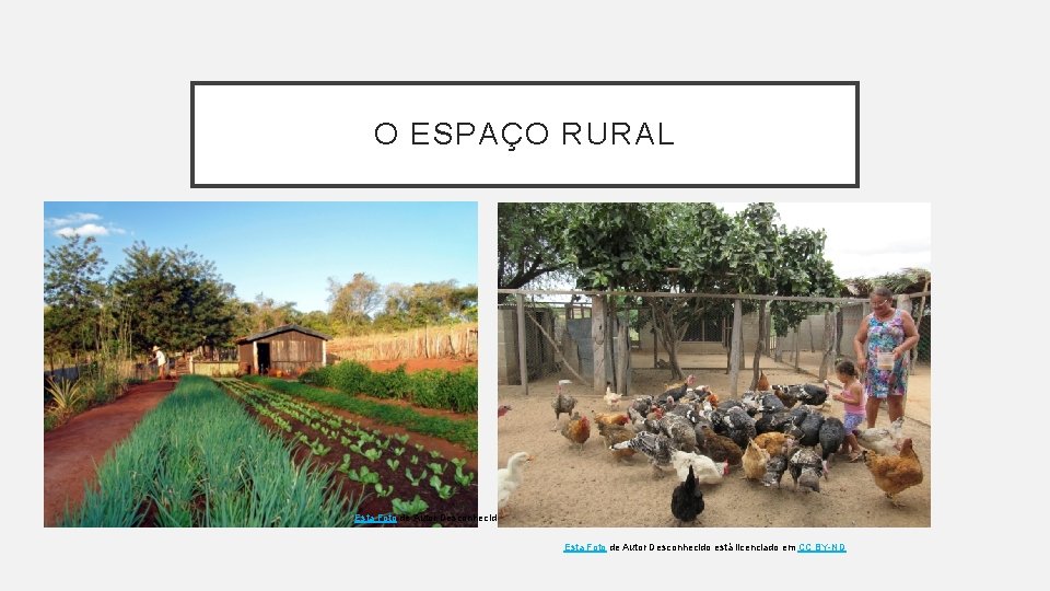 O ESPAÇO RURAL Esta Foto de Autor Desconhecido está licenciado em CC BY-SA Esta