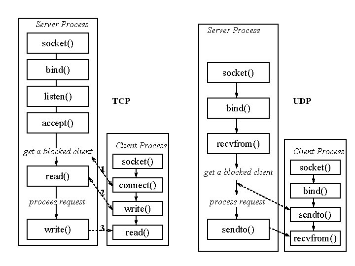 Server Process socket() bind() socket() listen() TCP bind() UDP accept() Client Process get a