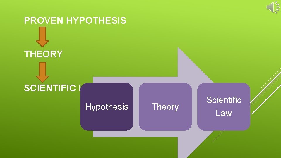 PROVEN HYPOTHESIS THEORY SCIENTIFIC LAW Hypothesis Theory Scientific Law 