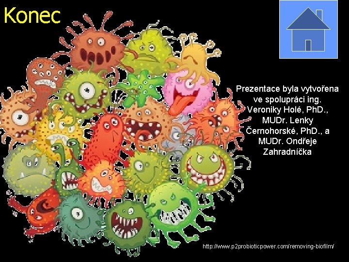 Konec Prezentace byla vytvořena ve spolupráci ing. Veroniky Holé, Ph. D. , MUDr. Lenky