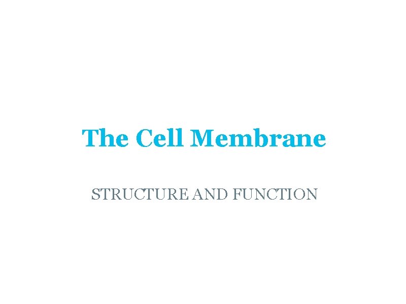 The Cell Membrane STRUCTURE AND FUNCTION  The Cell Membrane STRUCTURE AND FUNCTION