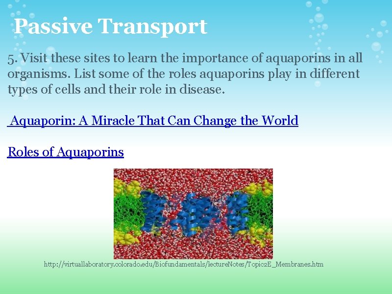 Passive Transport 5. Visit these sites to learn the importance of aquaporins in all Passive Transport 5. Visit these sites to learn the importance of aquaporins in all