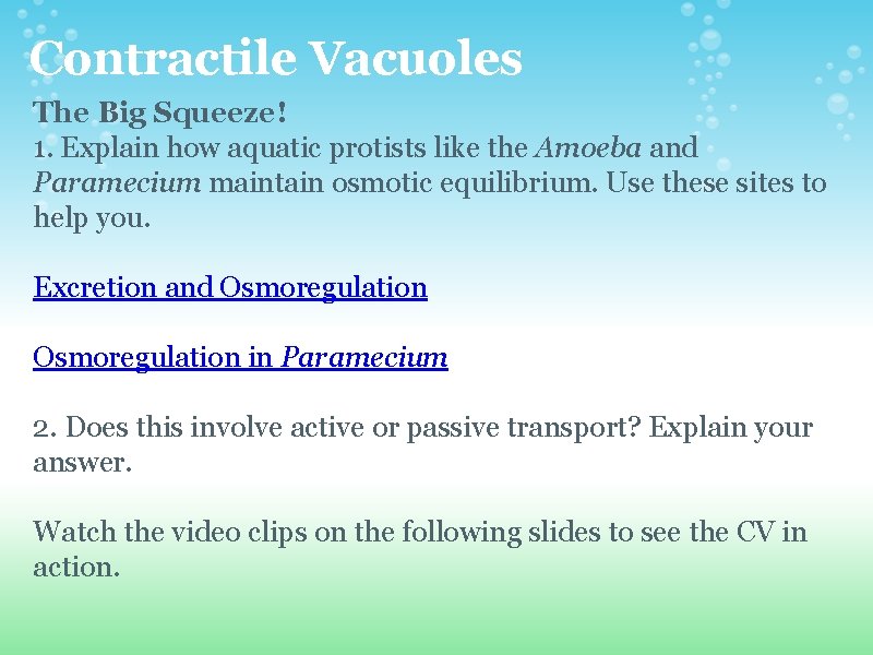 Contractile Vacuoles The Big Squeeze! 1. Explain how aquatic protists like the Amoeba and Contractile Vacuoles The Big Squeeze! 1. Explain how aquatic protists like the Amoeba and