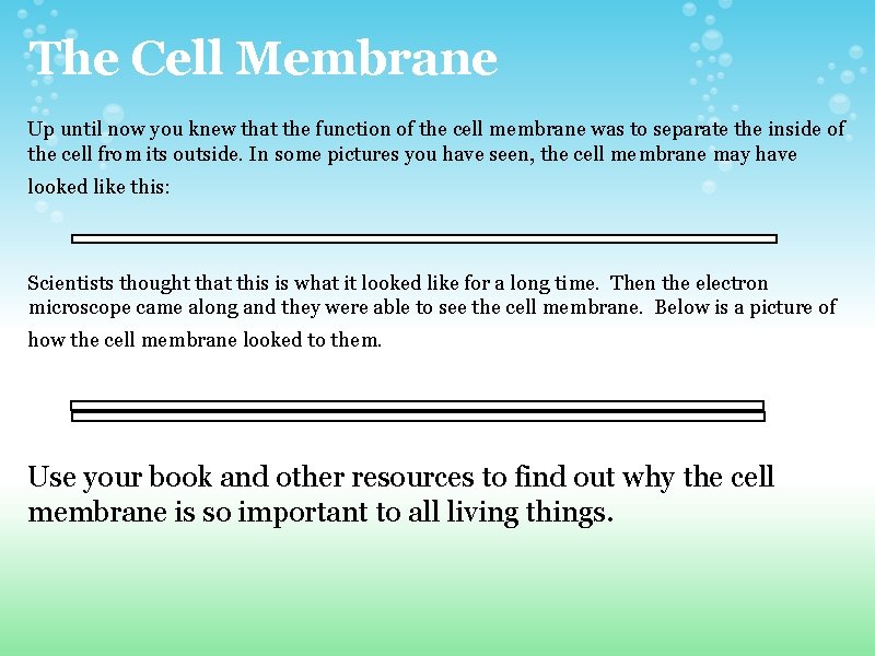 The Cell Membrane Up until now you knew that the function of the cell The Cell Membrane Up until now you knew that the function of the cell
