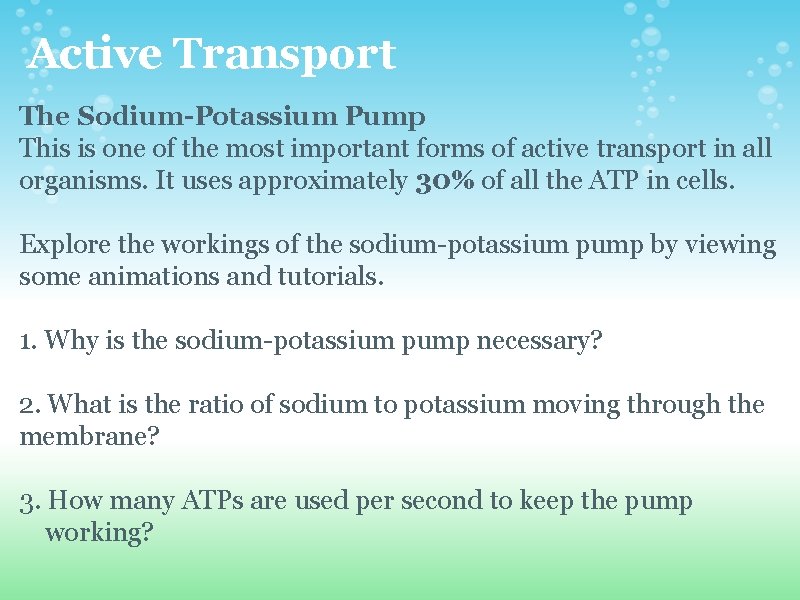 Active Transport The Sodium-Potassium Pump This is one of the most important forms of Active Transport The Sodium-Potassium Pump This is one of the most important forms of