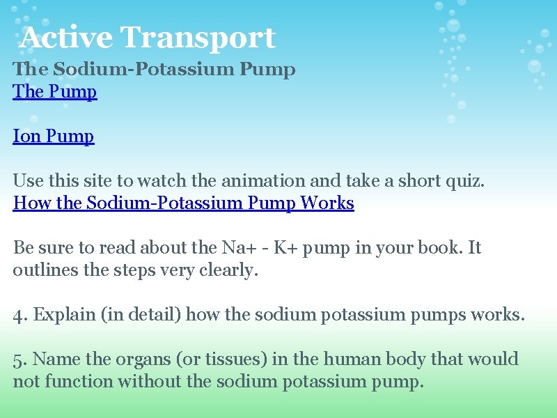 Active Transport The Sodium-Potassium Pump The Pump Ion Pump Use this site to watch Active Transport The Sodium-Potassium Pump The Pump Ion Pump Use this site to watch