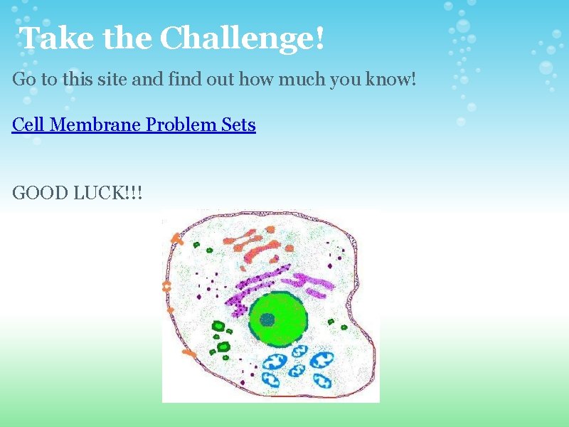 Take the Challenge! Go to this site and find out how much you know! Take the Challenge! Go to this site and find out how much you know!
