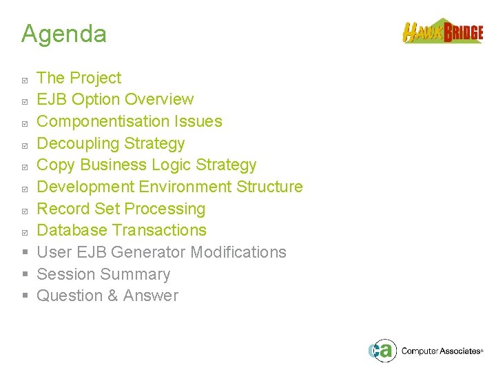 Agenda The Project þ EJB Option Overview þ Componentisation Issues þ Decoupling Strategy þ