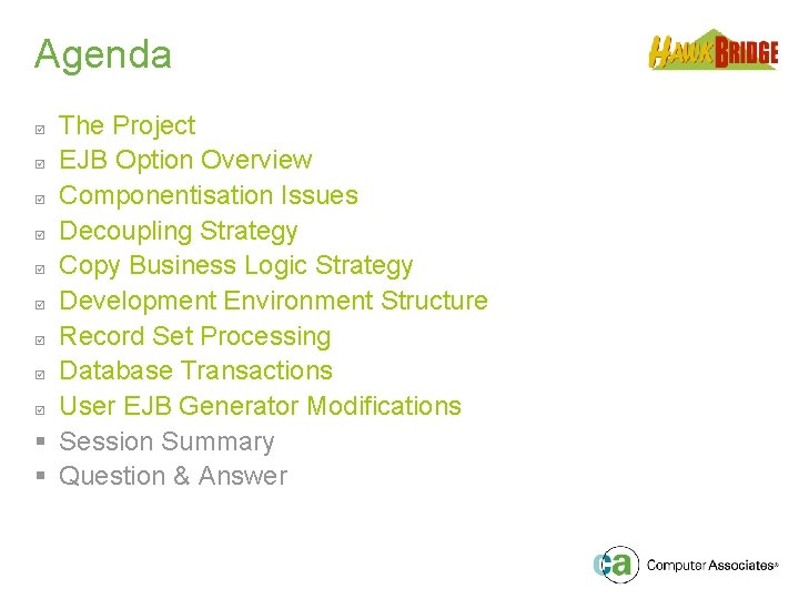 Agenda The Project þ EJB Option Overview þ Componentisation Issues þ Decoupling Strategy þ
