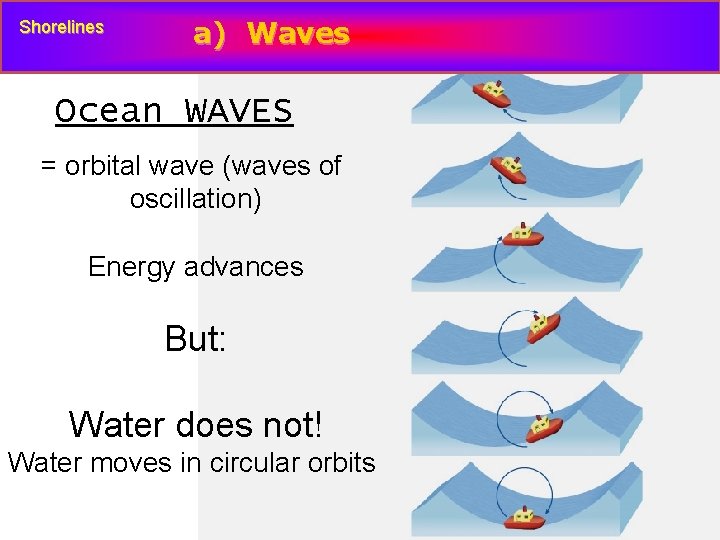 Shorelines a) Waves Ocean WAVES = orbital wave (waves of oscillation) Energy advances But: