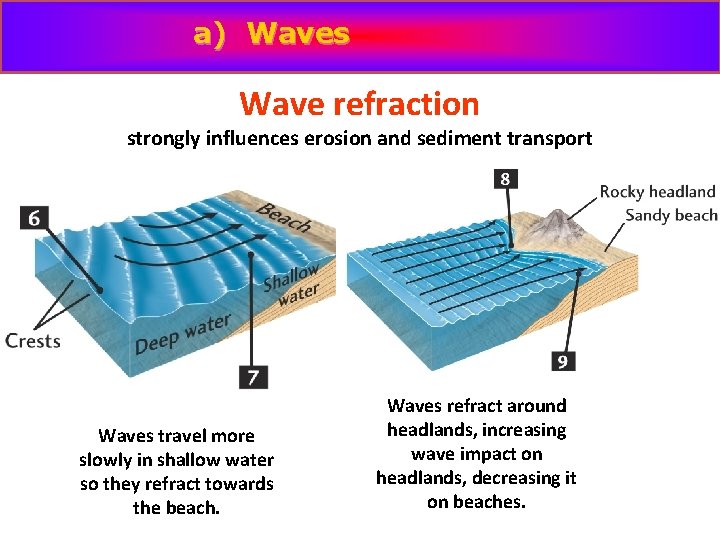 a) Waves Wave refraction strongly influences erosion and sediment transport Waves travel more slowly