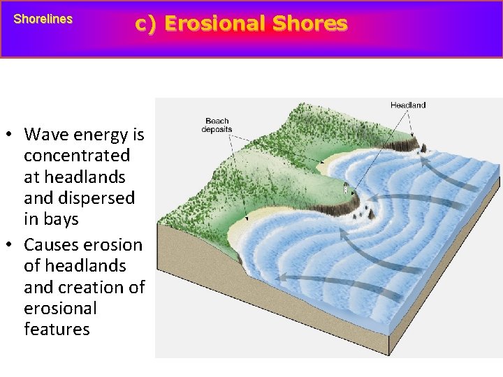 Shorelines c) Erosional Shores Wave refraction along an irregular shoreline • Wave energy is