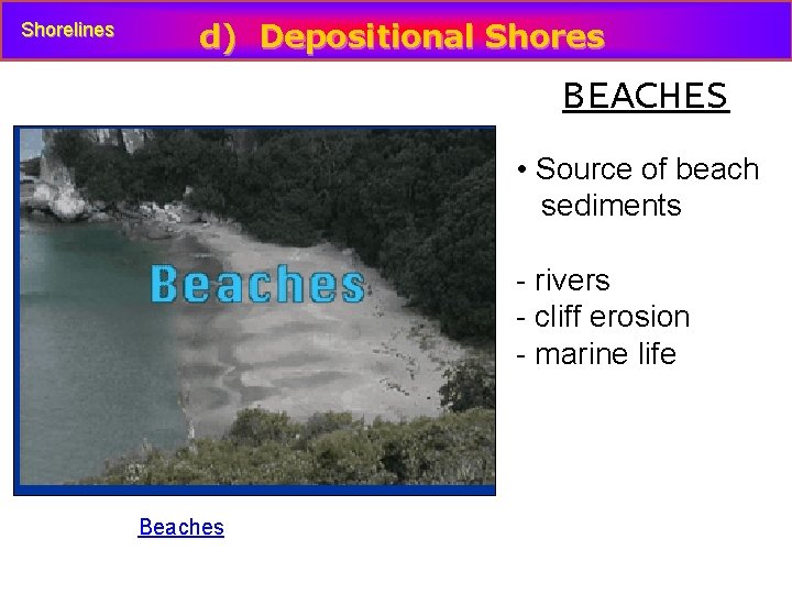 Shorelines d) Depositional Shores BEACHES • Source of beach sediments - rivers - cliff