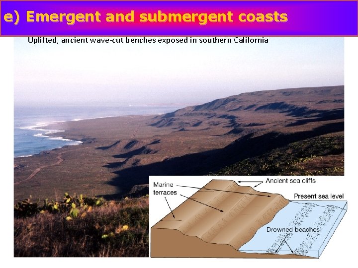 e) Emergent and submergent coasts Uplifted, ancient wave-cut benches exposed in southern California 
