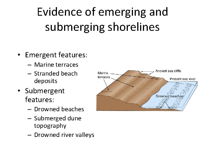 Evidence of emerging and submerging shorelines • Emergent features: – Marine terraces – Stranded