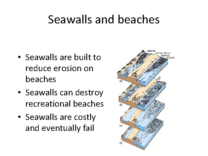 Seawalls and beaches • Seawalls are built to reduce erosion on beaches • Seawalls