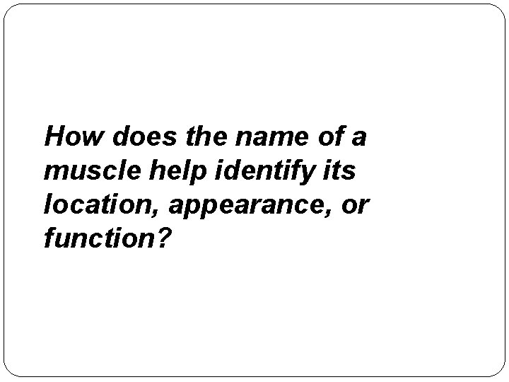 How does the name of a muscle help identify its location, appearance, or function?