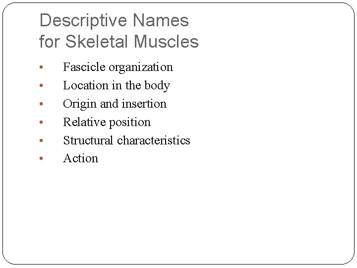 Descriptive Names for Skeletal Muscles • • • Fascicle organization Location in the body