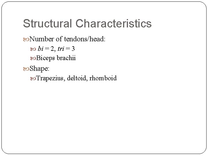Structural Characteristics Number of tendons/head: bi = 2, tri = 3 Biceps brachii Shape: