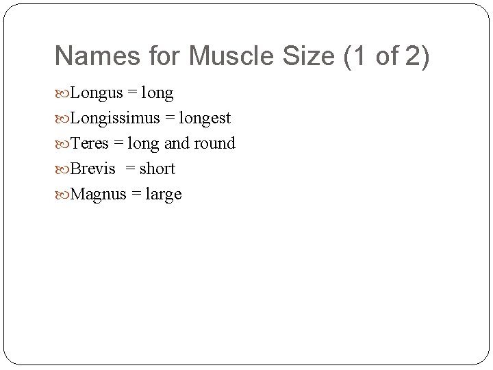 Names for Muscle Size (1 of 2) Longus = long Longissimus = longest Teres