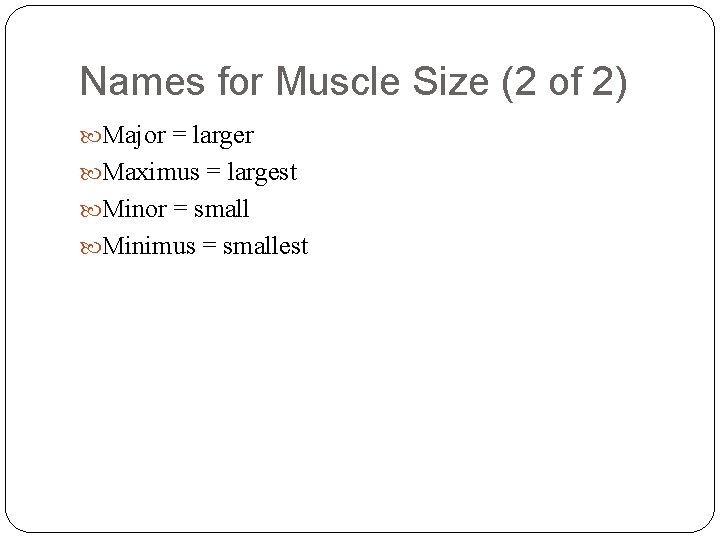 Names for Muscle Size (2 of 2) Major = larger Maximus = largest Minor
