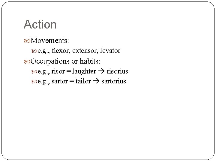 Action Movements: e. g. , flexor, extensor, levator Occupations or habits: e. g. ,