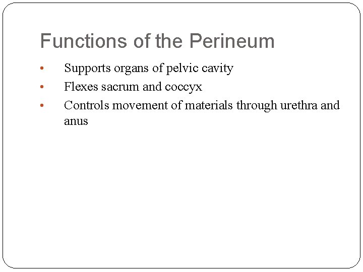 Functions of the Perineum • • • Supports organs of pelvic cavity Flexes sacrum