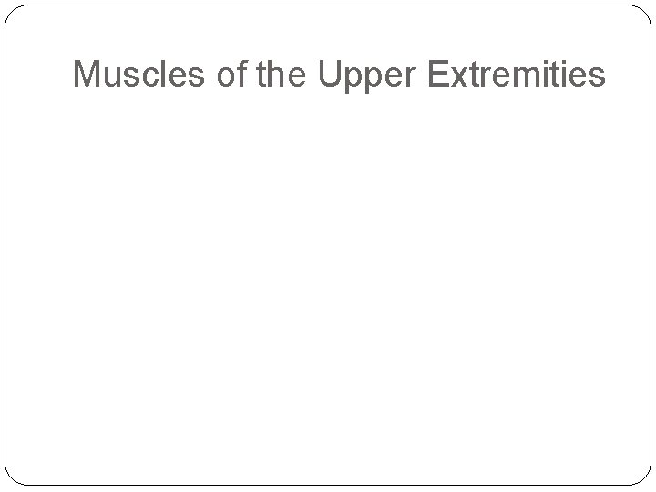 Muscles of the Upper Extremities 