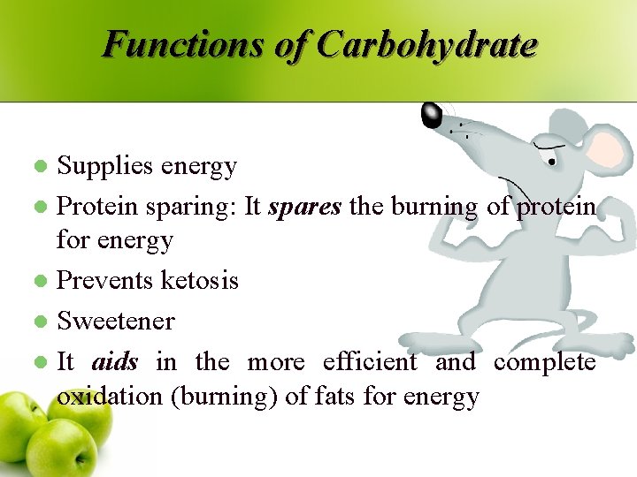 Functions of Carbohydrate Supplies energy l Protein sparing: It spares the burning of protein