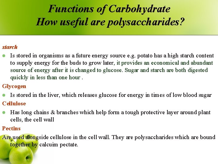 Functions of Carbohydrate How useful are polysaccharides? starch l Is stored in organisms as