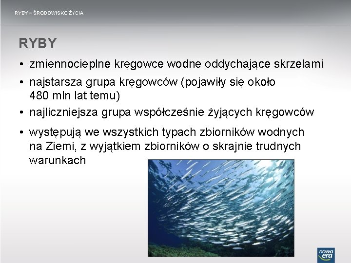 RYBY − ŚRODOWISKO ŻYCIA RYBY • zmiennocieplne kręgowce wodne oddychające skrzelami • najstarsza grupa