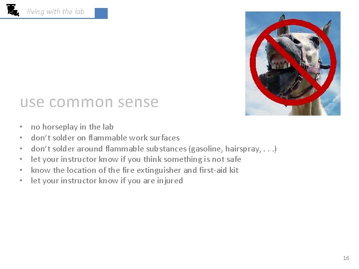 living with the lab use common sense • • • no horseplay in the