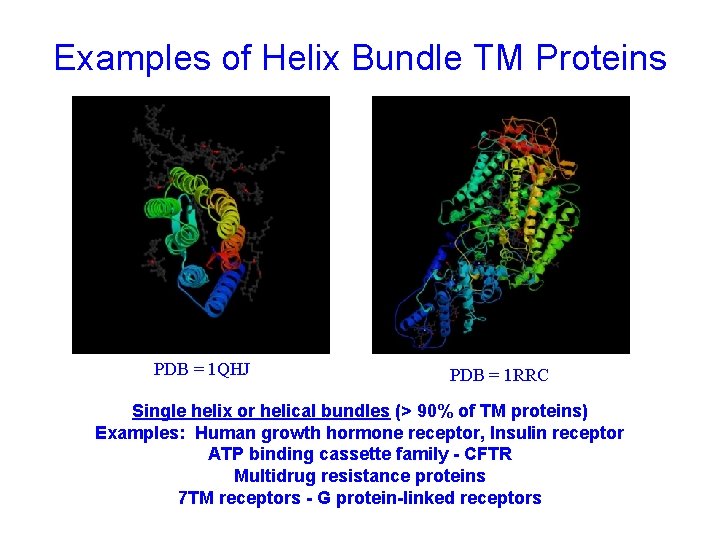 Examples of Helix Bundle TM Proteins PDB = 1 QHJ PDB = 1 RRC